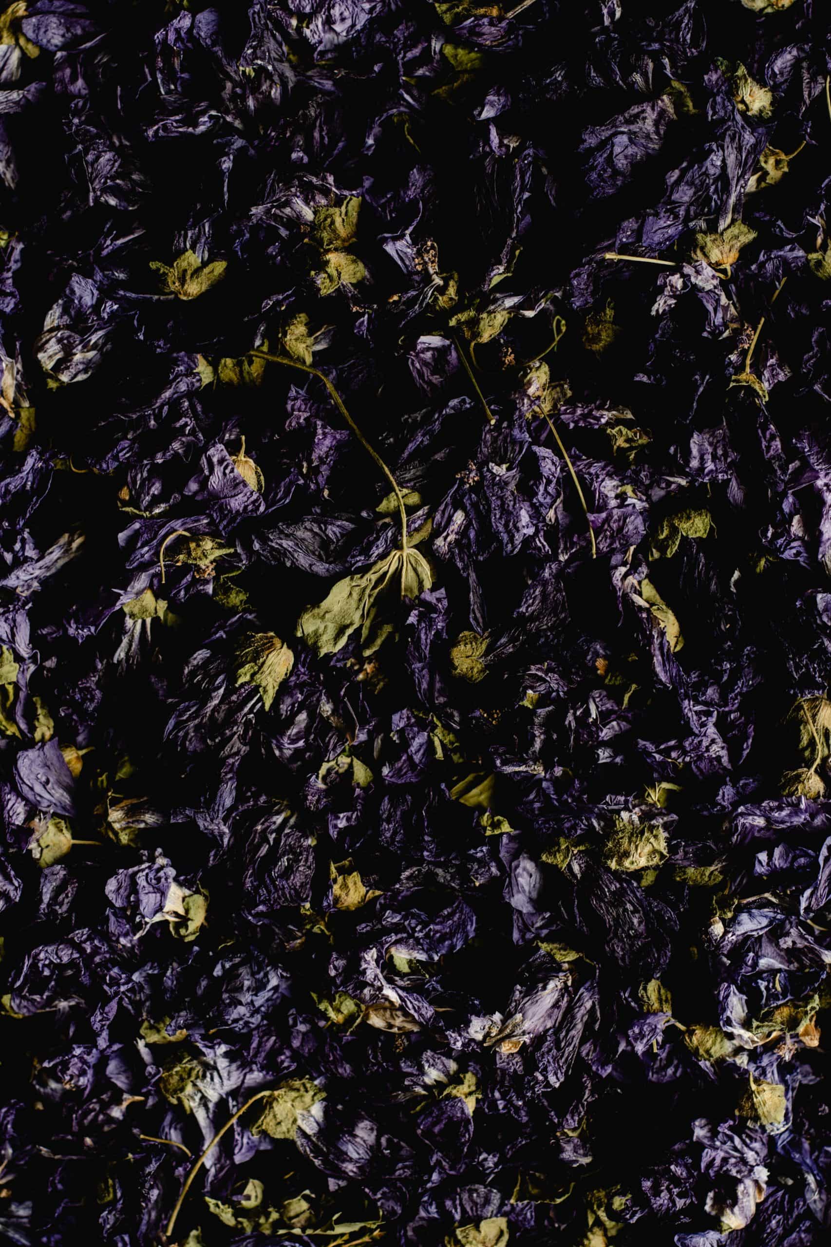 Como Fazer um Lambedor de Malva Santa para Tosse e Gripe